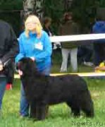 Превью фото № 156556