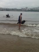 Превью фото № 156575