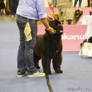 Превью фото № 156599