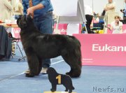 Превью фото № 156600