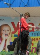 Превью фото № 156613