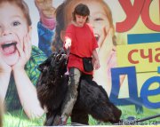 Превью фото № 156615