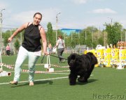 Превью фото № 156627