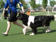 Превью фото № 156636