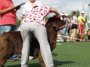 Превью фото № 156637