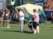 Превью фото № 156641