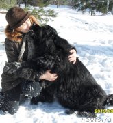 Превью фото № 156646