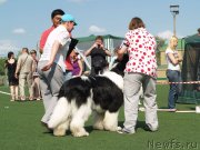 Превью фото № 156650