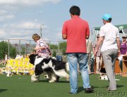 Превью фото № 156651