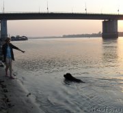 Превью фото № 156656