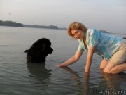 Превью фото № 156658