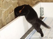 Превью фото № 156714