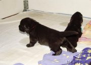 Превью фото № 156719