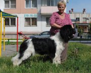 Превью фото № 156782