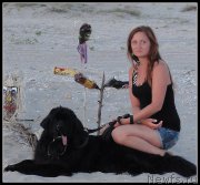 Превью фото № 156809