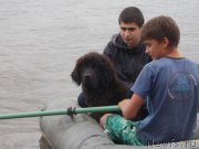 Превью фото № 156820