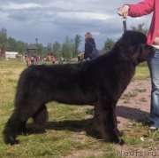 Превью фото № 156826