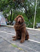 Превью фото № 156842