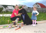 Превью фото № 156985