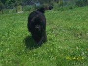 Превью фото № 157059