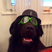 Превью фото № 157093