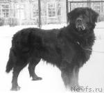 Превью фото № 1572