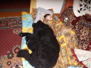 Превью фото № 157207