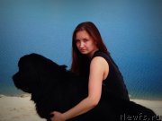 Превью фото № 157340