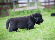 Превью фото № 157349