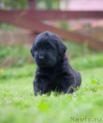 Превью фото № 157361