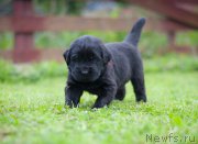 Превью фото № 157363