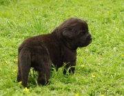 Превью фото № 157366