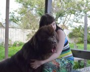 Превью фото № 157432