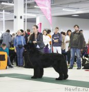 Превью фото № 157441