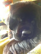 Превью фото № 157446