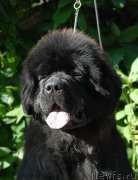 Превью фото № 157449