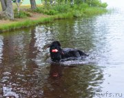 Превью фото № 157462