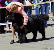 Превью фото № 157483