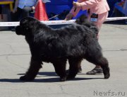 Превью фото № 157497