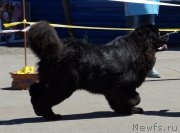 Превью фото № 157498