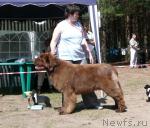 Превью фото № 15755