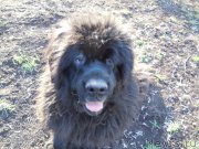 Превью фото № 157680