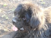 Превью фото № 157681