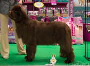 Превью фото № 157734