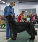 Превью фото № 157786