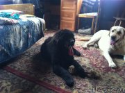 Превью фото № 157789