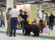 Превью фото № 157794