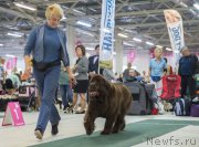 Превью фото № 157797