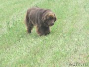 Превью фото № 157811