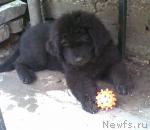 Превью фото № 15783